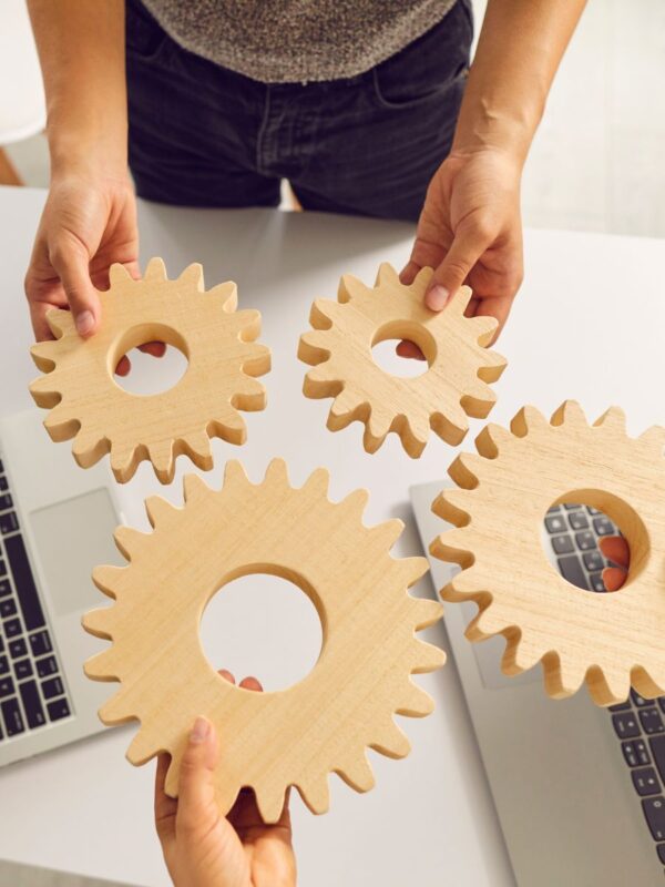 Demokratische Haltung sichtbar machen